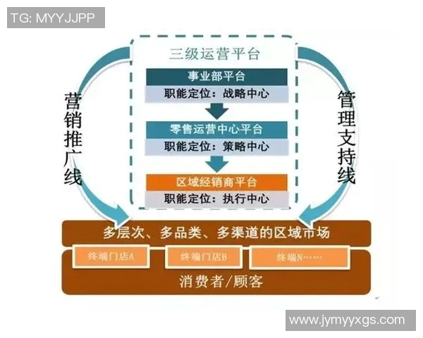 深入分析上海排球队的运营策略与市场推广模式